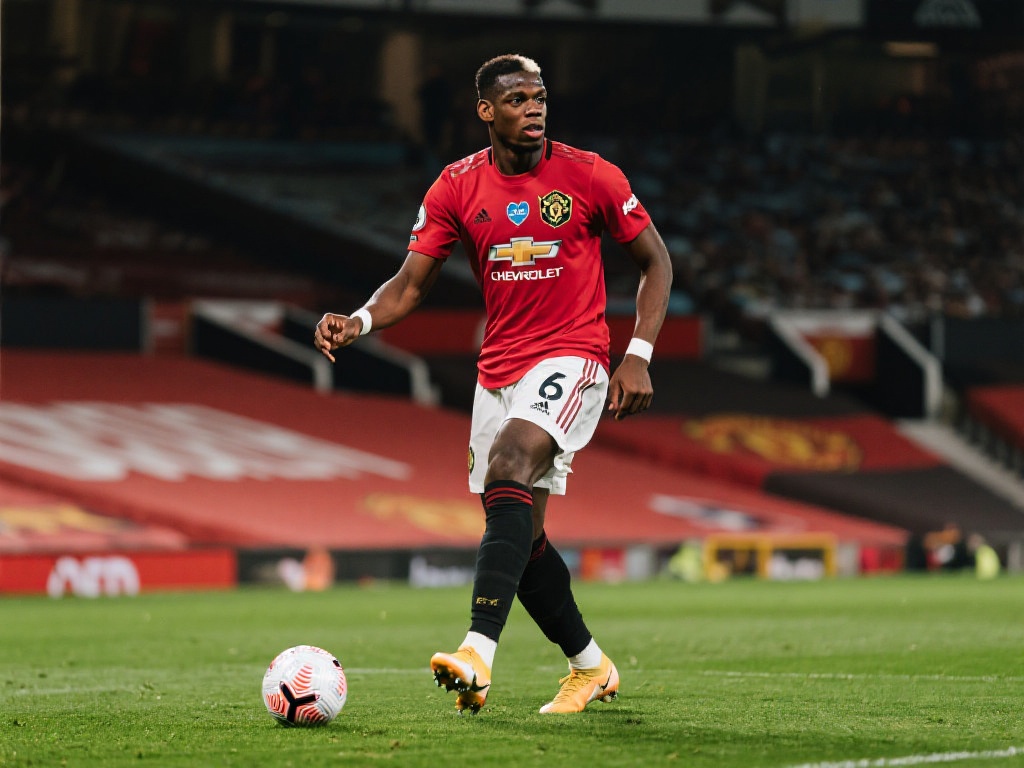 育信息平台 育信息平台